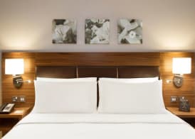 Hilton Garden Inn Ras Al Khaimah 5