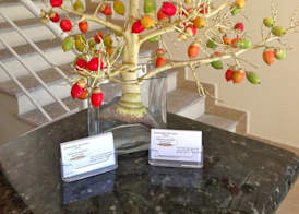 Montelaguna Boutique Hotel 2
