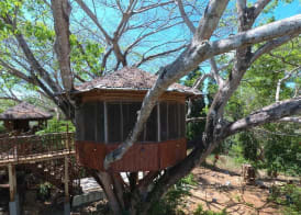 Al Hamra Jungle Resort 4