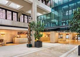 The Level at Melia Castilla 5