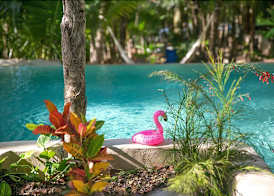 Hotel Buenavista Bacalar Jungle Experience 2