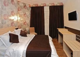 Hôtel Saray 5