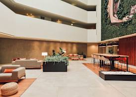 The Pearl Troia 3