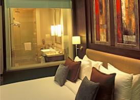 Radisson Noida 5