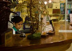 Deep Forest Garden Hotel 4
