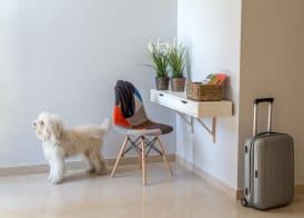 Urban Garden Hotel 2