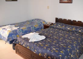 Hotel Palmas del Sol 4