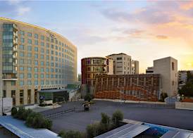 Signia by Hilton Amman 5