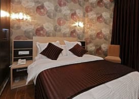 Hôtel Saray 4