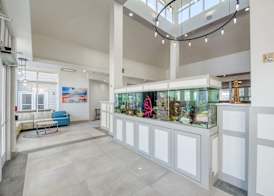 Hilton Garden Inn Outer Banks/Kitty Hawk 5