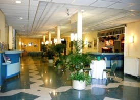Hotel Bara Junior 2