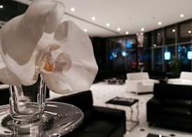 Tulip Hotel & Suites 5