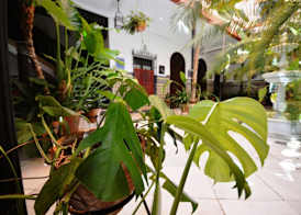 Hotel Casa de los Azulejos 2