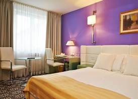 Hotel Phoenix 5