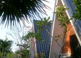 La Plumerias 3