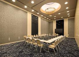 Golden Tulip Ana Dome Hotel 3