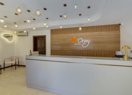 Orcey Hotel 4