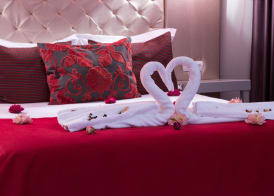 Hotel de Ilhavo Plaza & Spa 4
