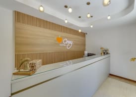 Orcey Hotel 3