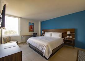Holiday Inn Express MERIDA CENTRO by IHG 5