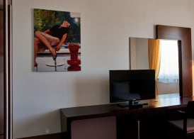 Hotel Concordia 5