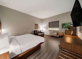 Best Western Plus Bowie Inn & Suites 4