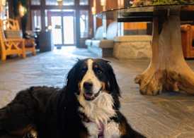 Nita Lake Lodge 2