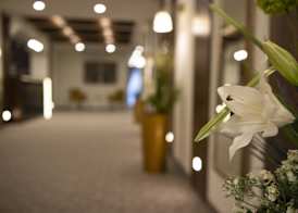 Luxury Rooms Skadarlija 3