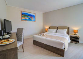 Palace Hotel Athens Riviera 5