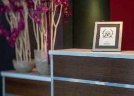 Dodo Hotel 4