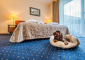 Grata by Centrum Hotels 5
