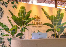Aura Hotel Barú 2