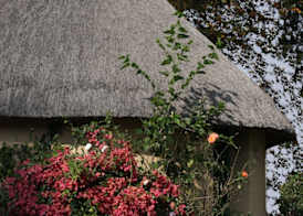 Ardmore Guest Farm 4