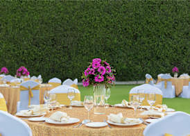 DoubleTree by Hilton Agra 3