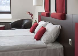 Rubin Wellness & Conference Hotel 4