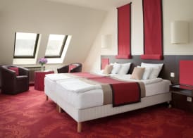 Rubin Wellness & Conference Hotel 5