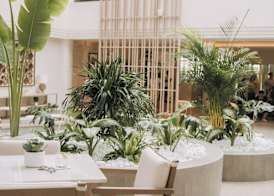 Fujairah Rotana Resort & Spa - Al Aqah Beach 4