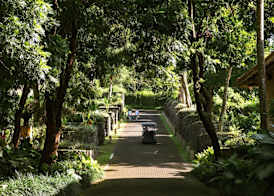 Alila Ubud 5