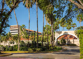 Barcelo Aruba 4
