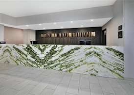 DoubleTree by Hilton Detroit Novi 5