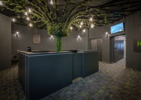 City Joy - sports Center Tasmajdan 2