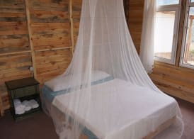 Shiva Camp 4