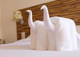 Dhotel Pattaya 5