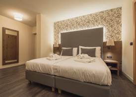 X Alp Hotel 5