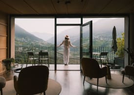Vinea - Apartments 3