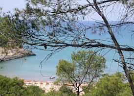 Hotel D'Amato 4