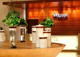 The Westin Guangzhou 2