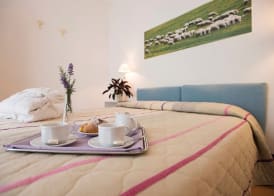 Hotel Angiolino 5