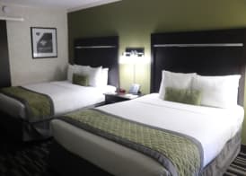 Uptown Oasis San Jose Airport 3