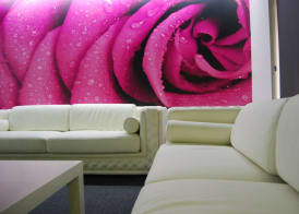 Hotel Rio Arga 4